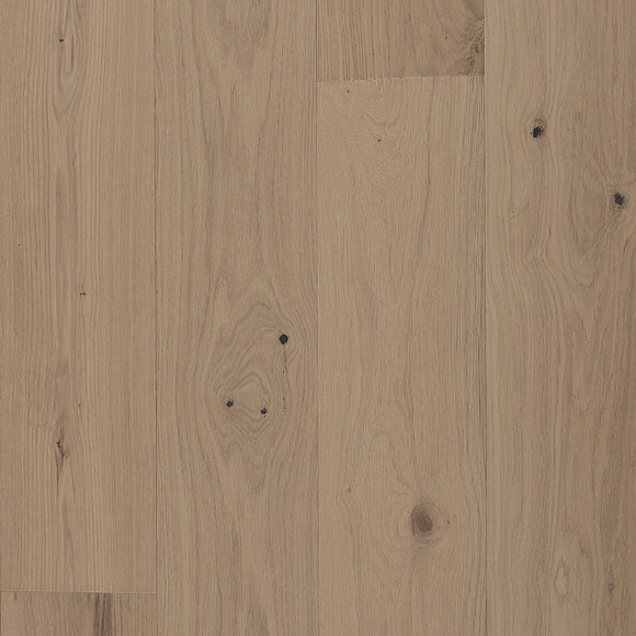 Chêne européen - Échantillon de crête sud*