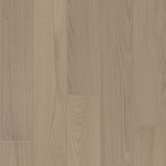 American Oak - Loire Forest Sample*