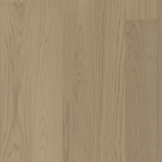 American Oak - Tranquil Sample*
