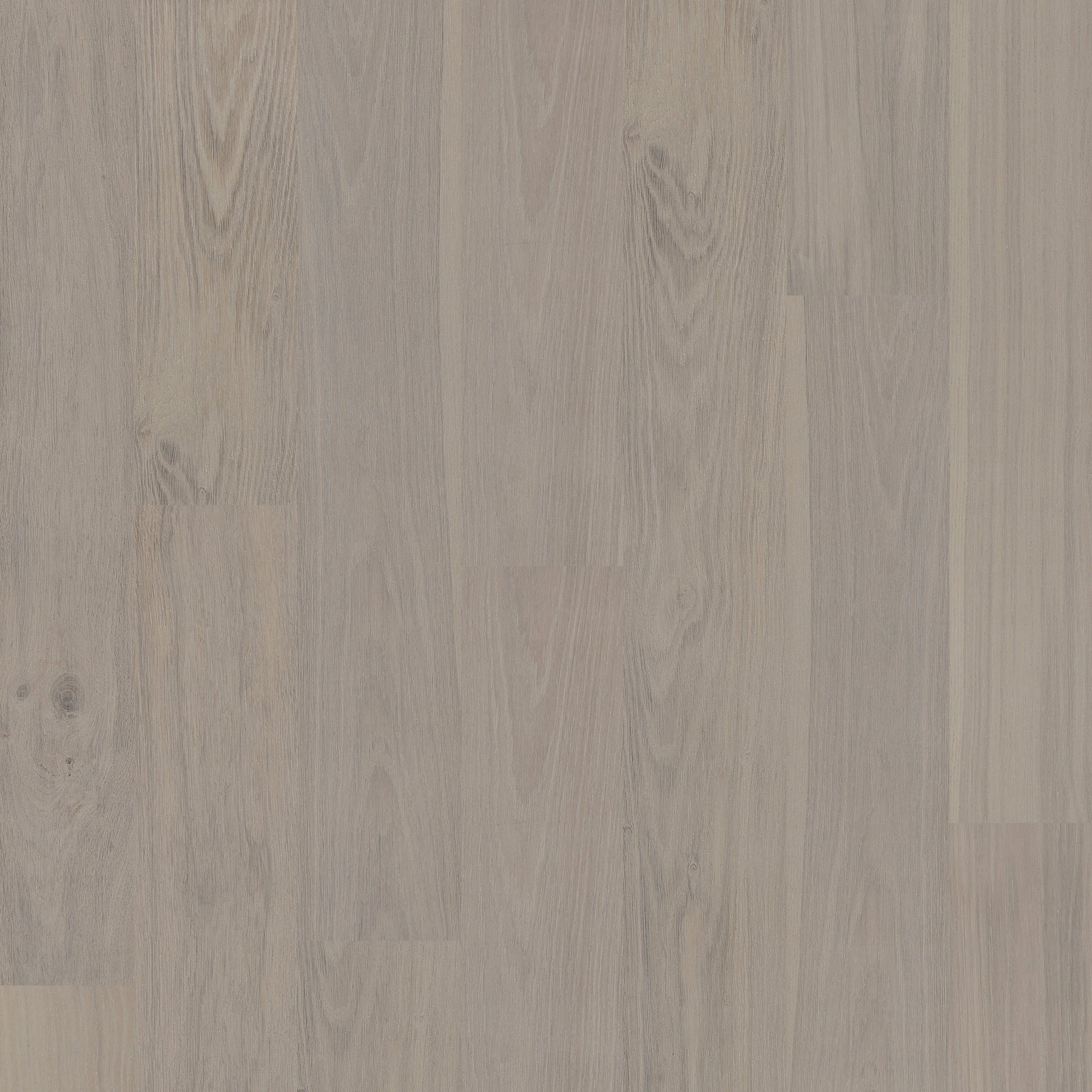 New - European Oak - Cervino Sample*