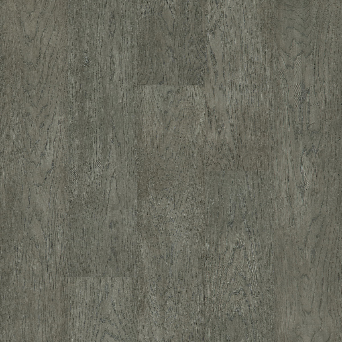 Hickory - Euro Grey Sample*