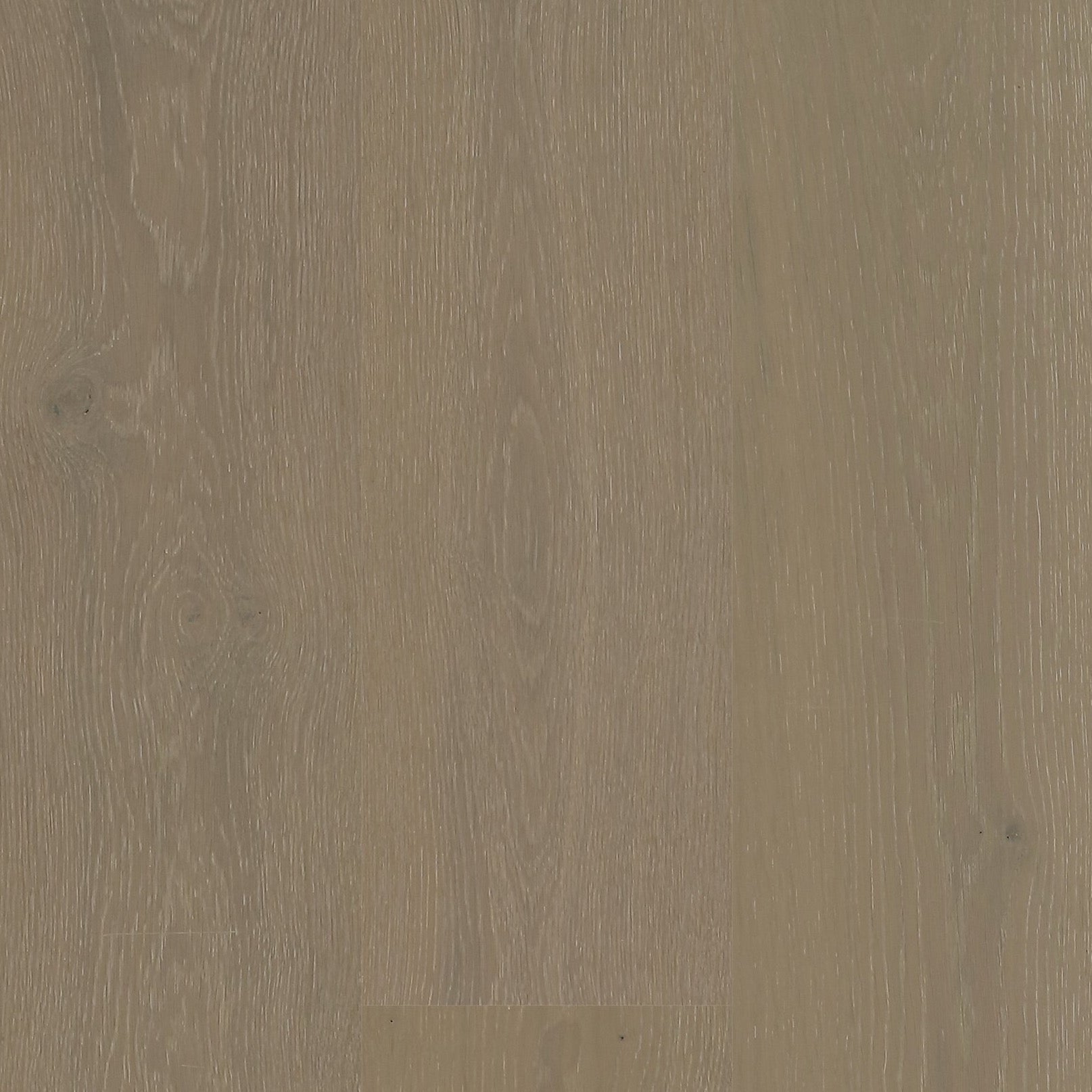 European Oak - French Truffle Sample*