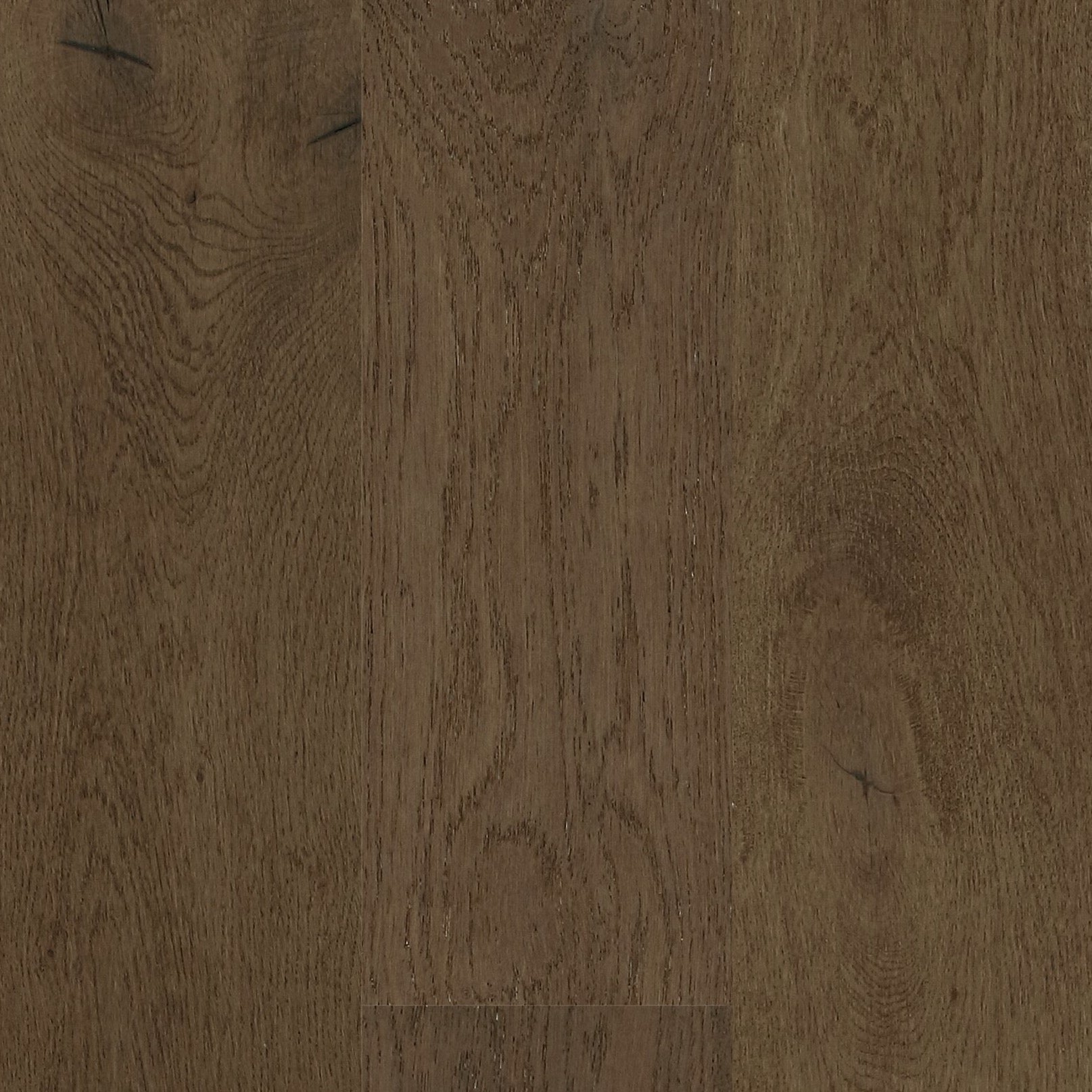 European Oak - Plateau Sample*