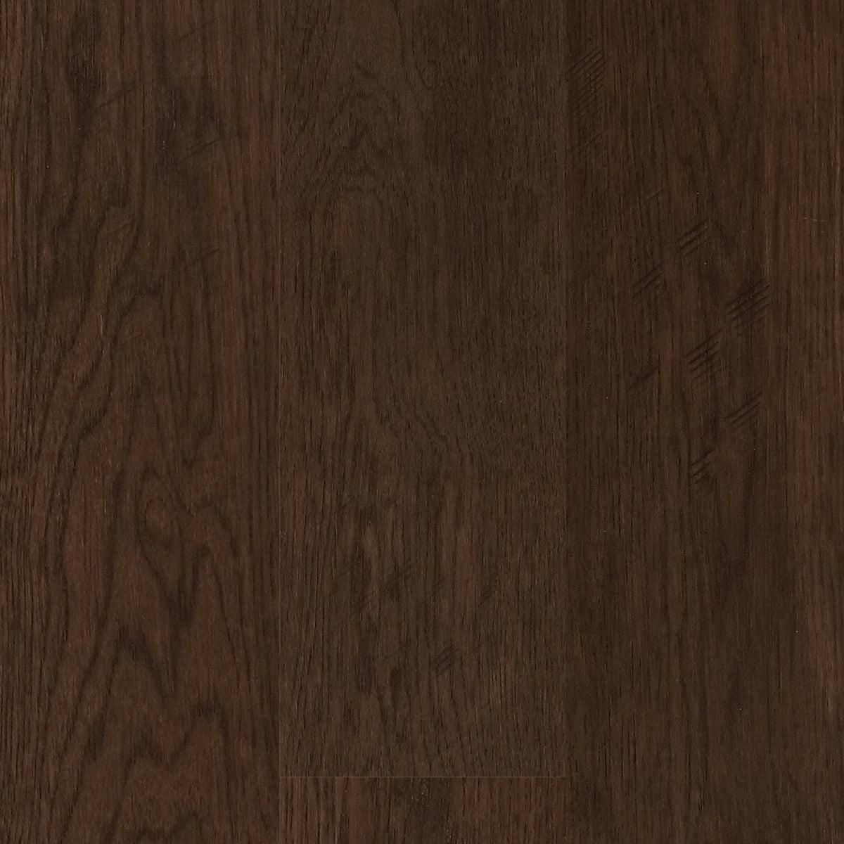 Hickory - Havana Coffee Sample*