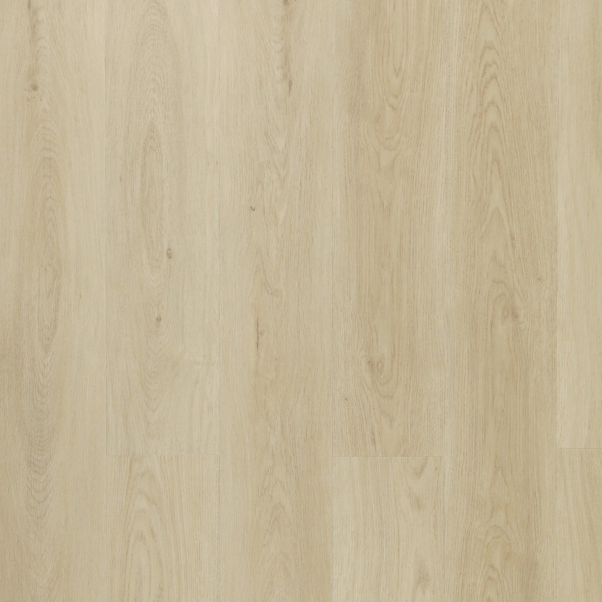 Midday Sunrise Sample*