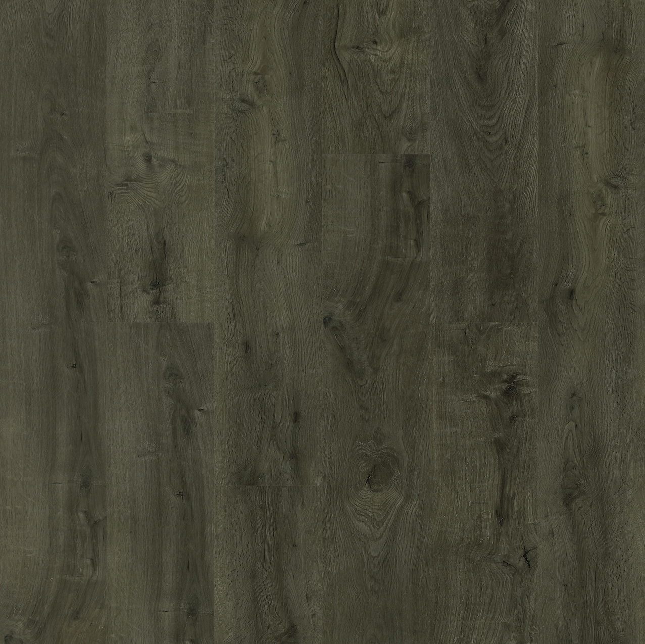 H5 Pro - Olive Sample*