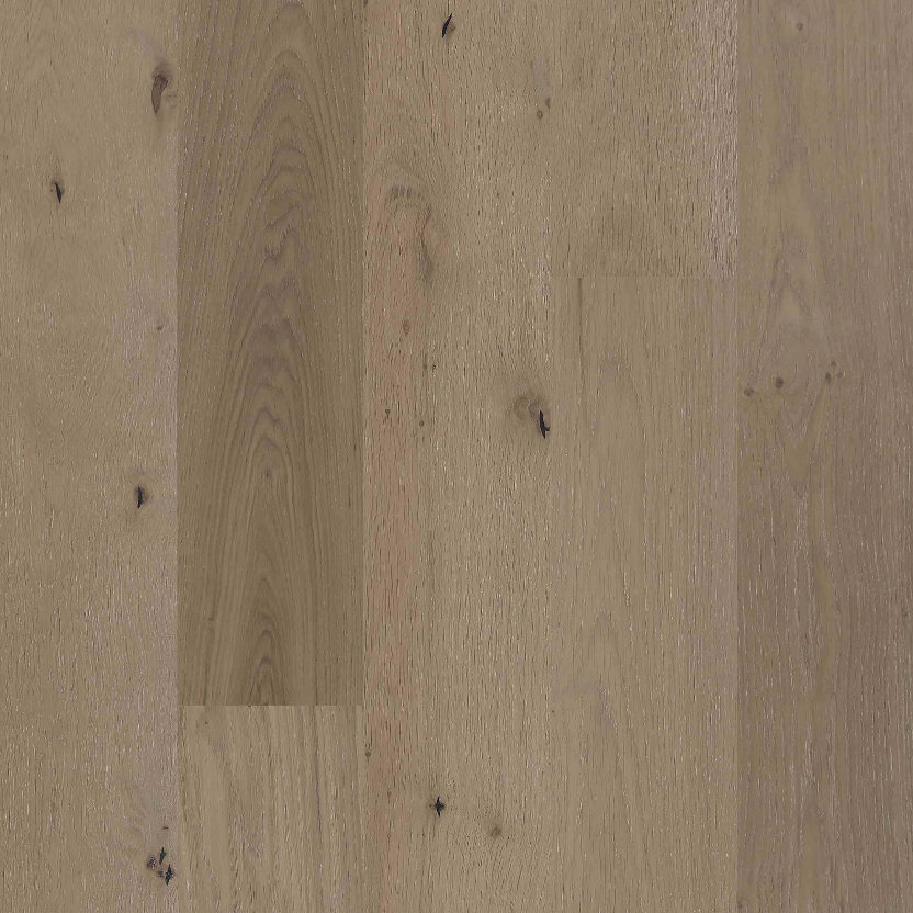 European Oak - Valencia Sample*