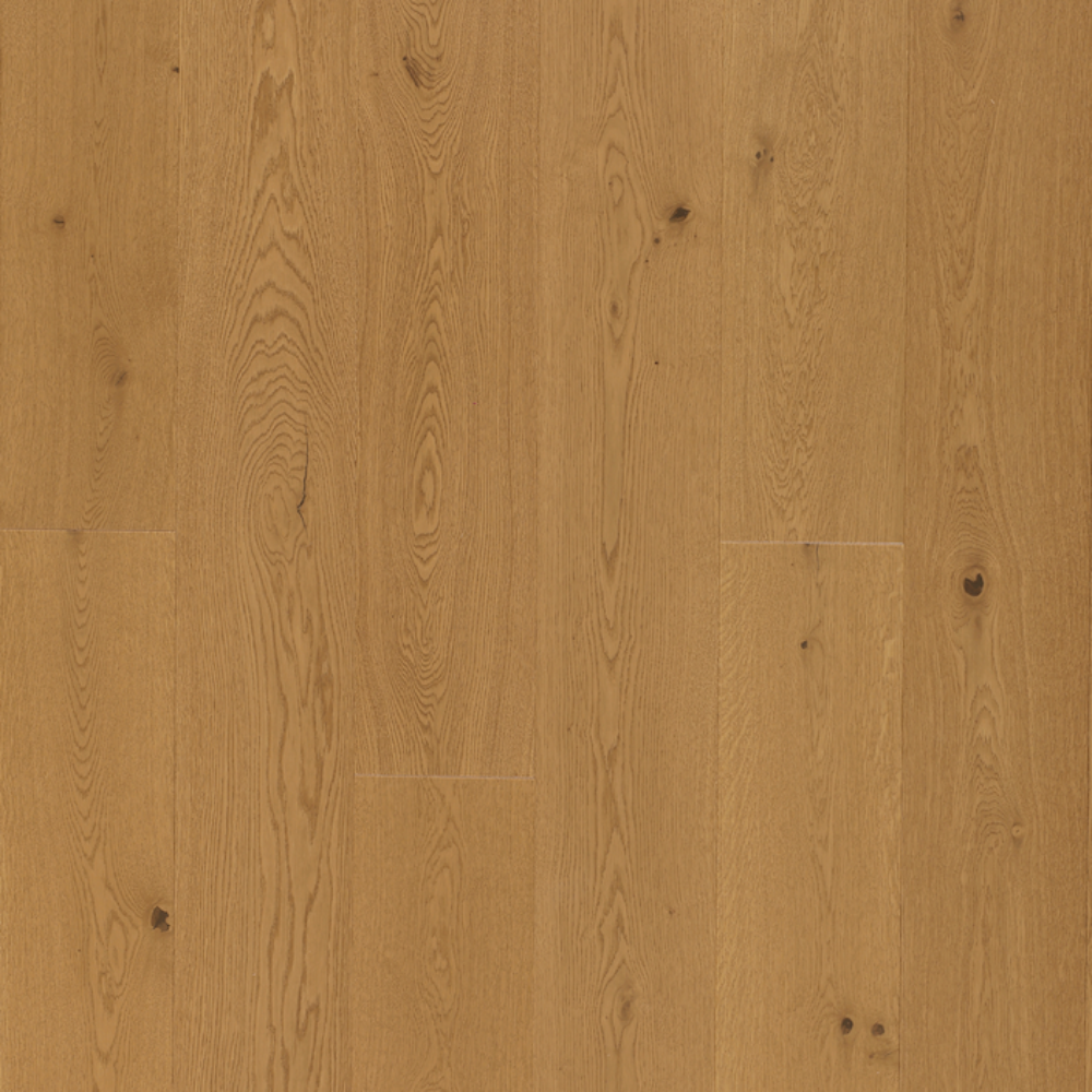 European Oak - Allure Sample