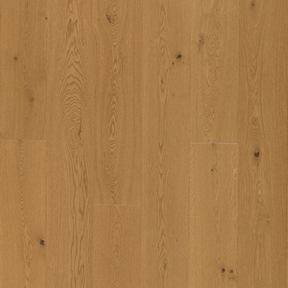European Oak - Allure Sample