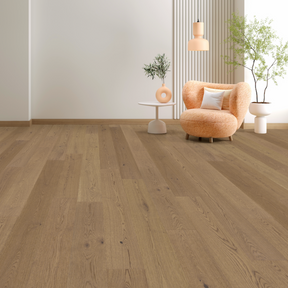 European Oak - Aspire Sample