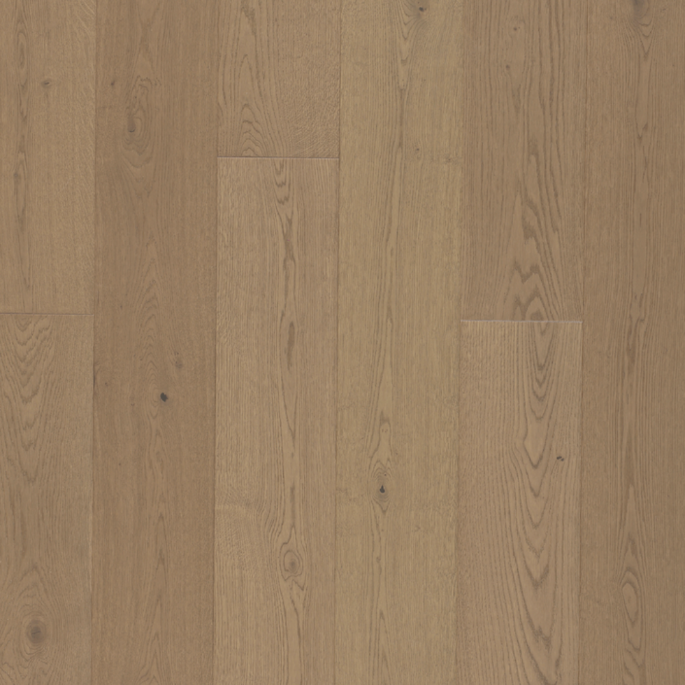 European Oak - Aspire Sample