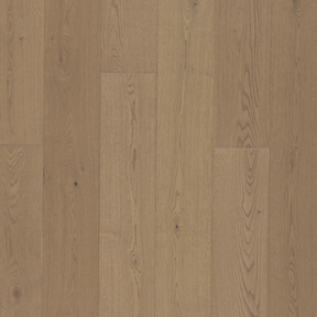 European Oak - Aspire Sample