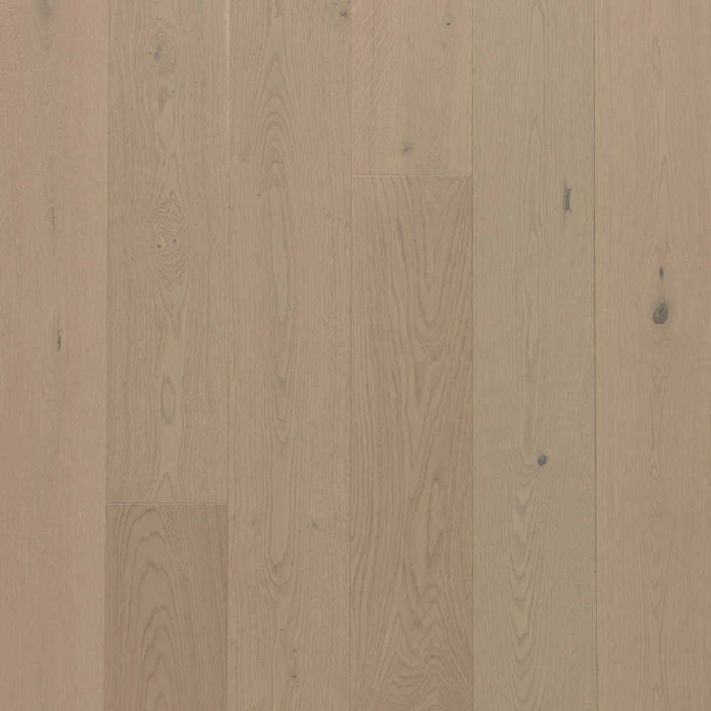 European Oak - Awaken Sample