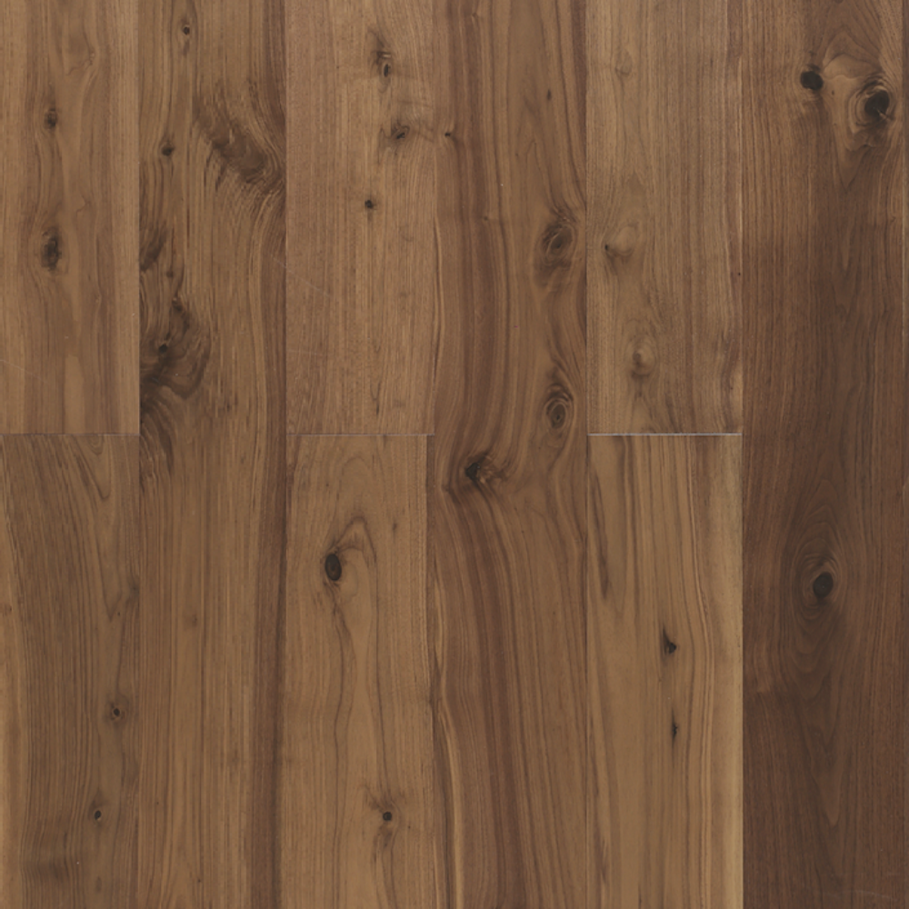 American Walnut - Coveted Sample