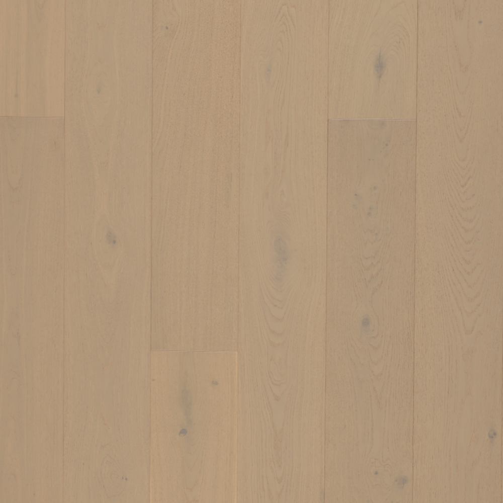 European Oak - Evoke Sample