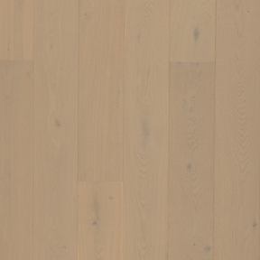 European Oak - Evoke Sample