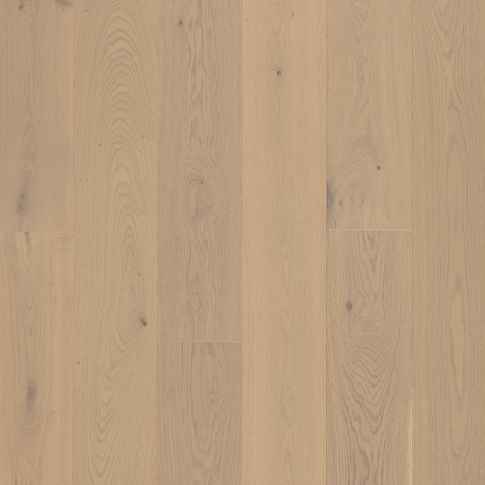 European Oak - Lucid Sample