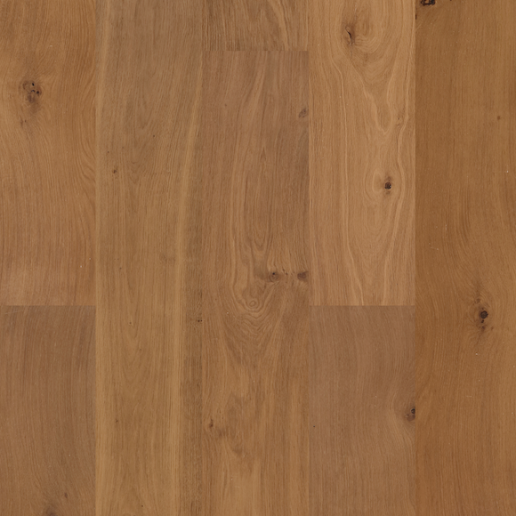 European Oak - Messier Sample*