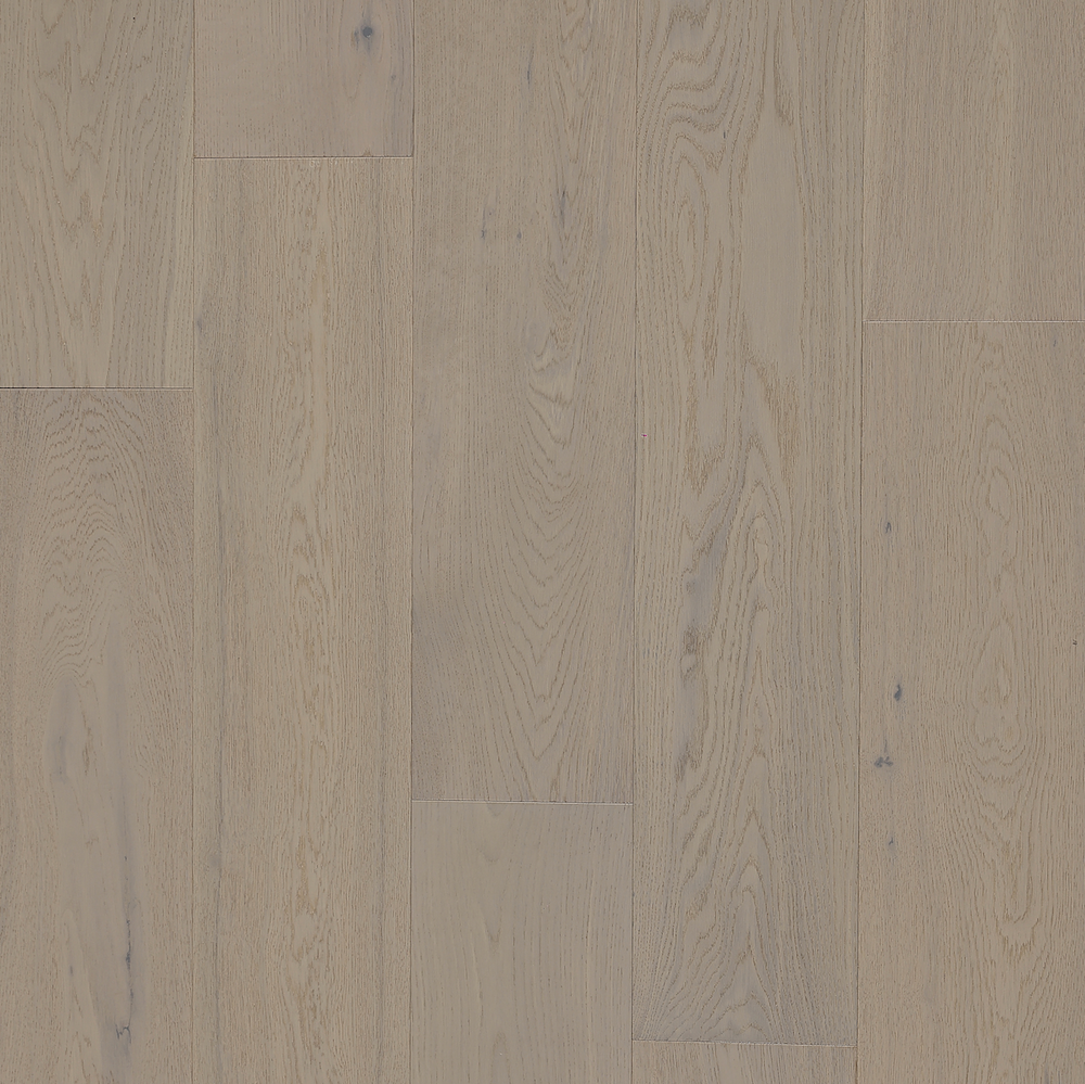 European Oak - Coral Shell Sample*