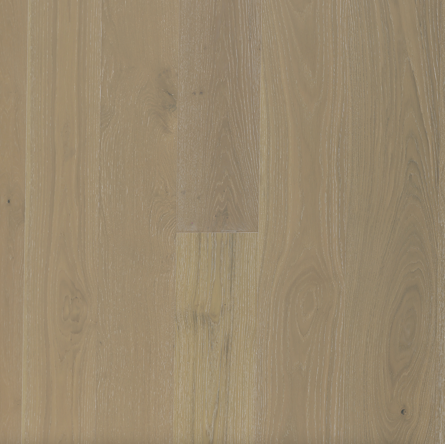 European Oak - Barely Beige Sample*