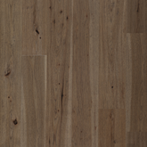 Hickory - Derby Sample*