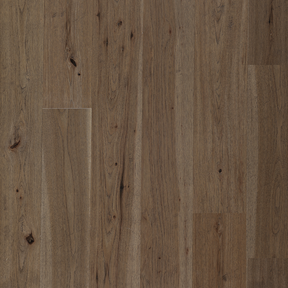 Hickory - Derby Sample*