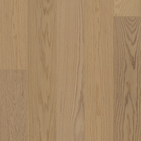 American Oak - Normandy Isle Sample*