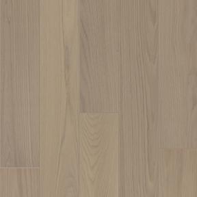 American Oak - Loire Forest Sample*
