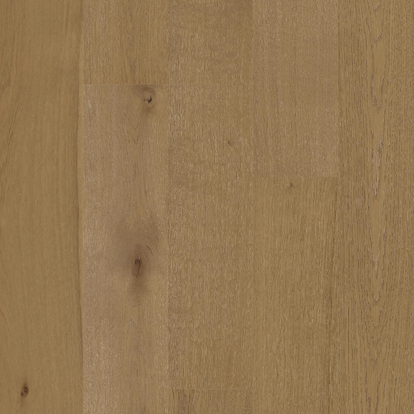 European Oak - Desert Ark Sample*