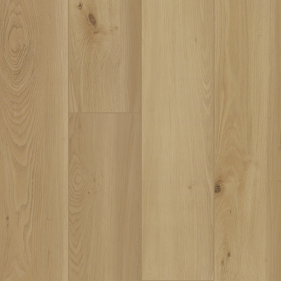 Silent Morning Sample*