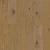 European Oak - Desert Ark Sample*