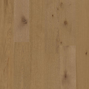 European Oak - Desert Ark Sample*