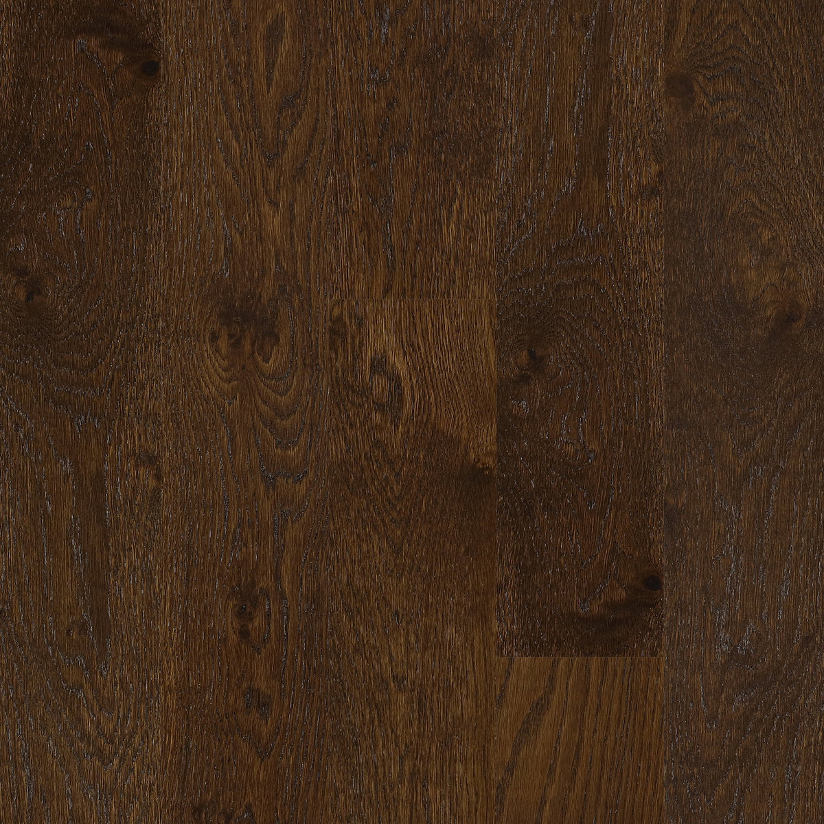 European Oak - Birmingham Sample*