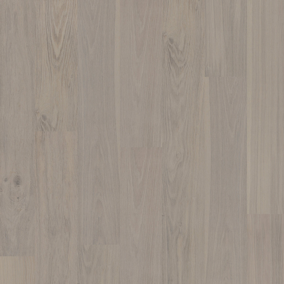 New - European Oak - Cervino Sample*