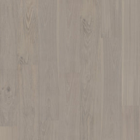 New - European Oak - Cervino Sample*