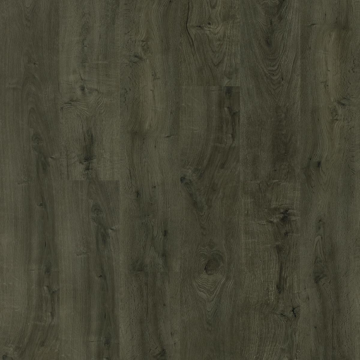 H5 Pro - Olive Sample*