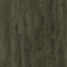 H5 Pro - Olive Sample*