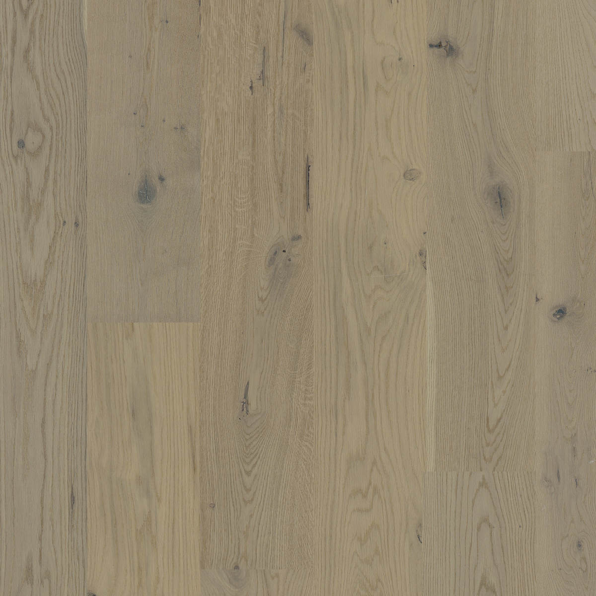 European Oak - Sandy Dream Sample*